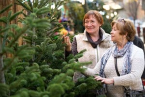 Choosing The Right Green Christmas Tree With Organic Fertilizer