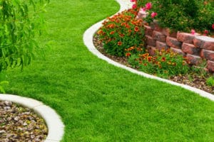 Benefits Of Lawn Organic Fertilizer