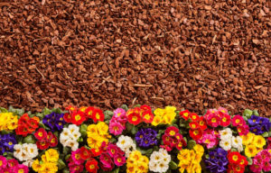 Revive Mulch Tips
