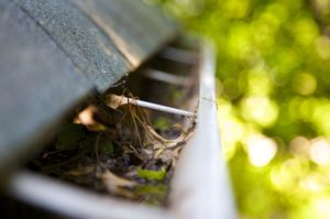 gutter protection revive lawn
