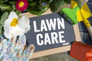 Lawn care fertilizer tips rust stain removal
