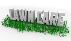 Lawn Care Organic Fertilizer Use