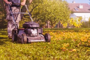 best time to mow lawn care products
