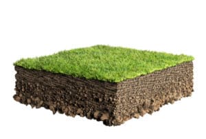 soil treatment for superb spring lawn