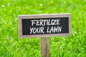 Organic Liquid or Granules To Fertilize Your Lawn