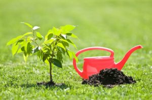 mom child planting tree soil treatment helps to grow