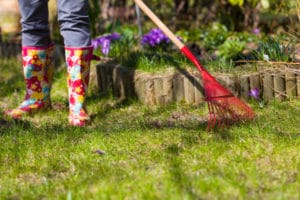spring lawn green grass how to get best yard