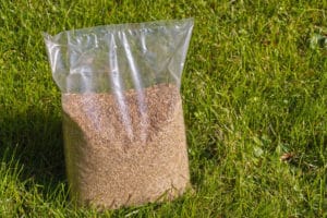 sowing grass seed revive lawn