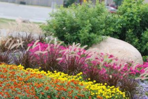 organic fertilizer garden bed revive
