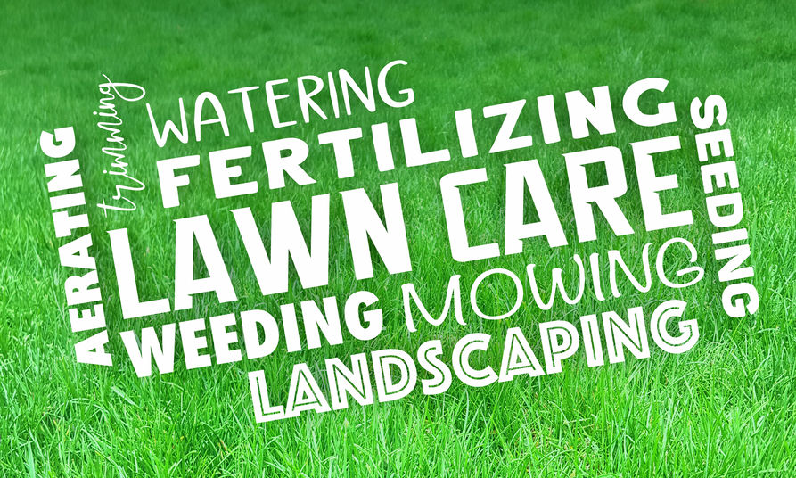 lawn care fertilizer revive products aerate mowing