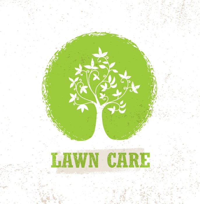 Lawn Care Organic vs Chemical Products