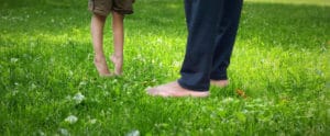 revive dead grass back to life dog urine spots