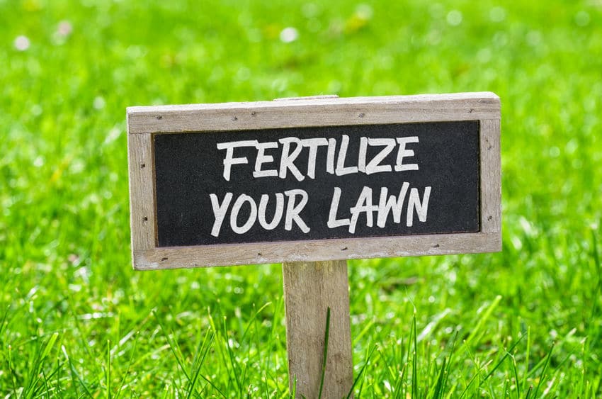 Fertilize Your Lawn With Revive Organic Lawn Care Fertilizer