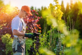 expert gardener revive products organic fertilizers