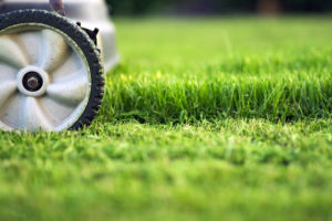 Revive products Lawn Care Mowing Practices