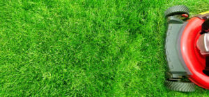 lawn care products mowing tips