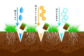 Lawn Soil Nutrients Revive Products