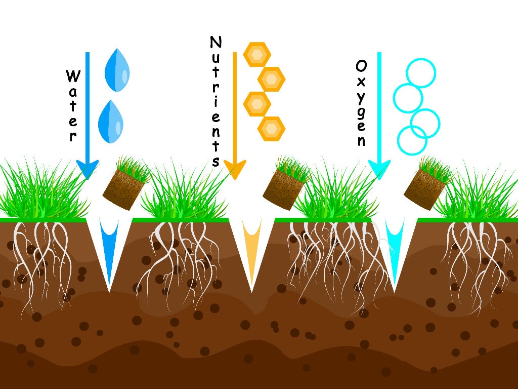 Aeration Lawn Care Products Absorption