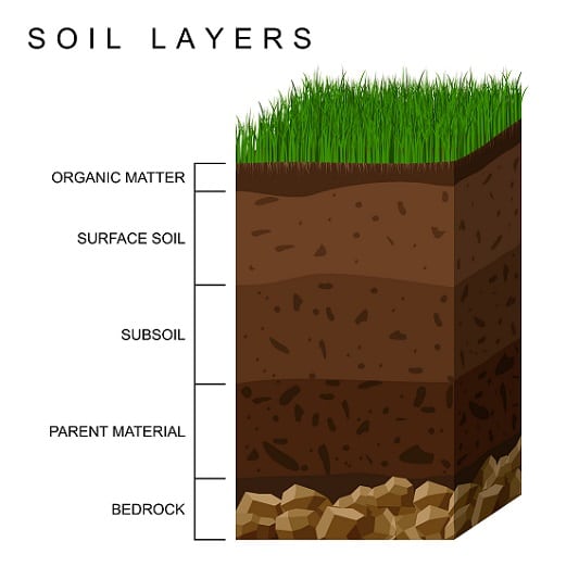 Soil Layers Green Grass Revive Fertilizer Liquid Product