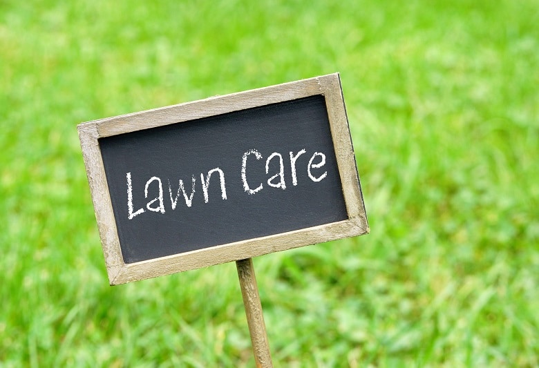 Lawn Care Revive Products