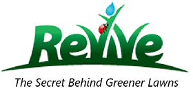 Revive Fertilizer Products Organic Rid Brown Patches in Grass