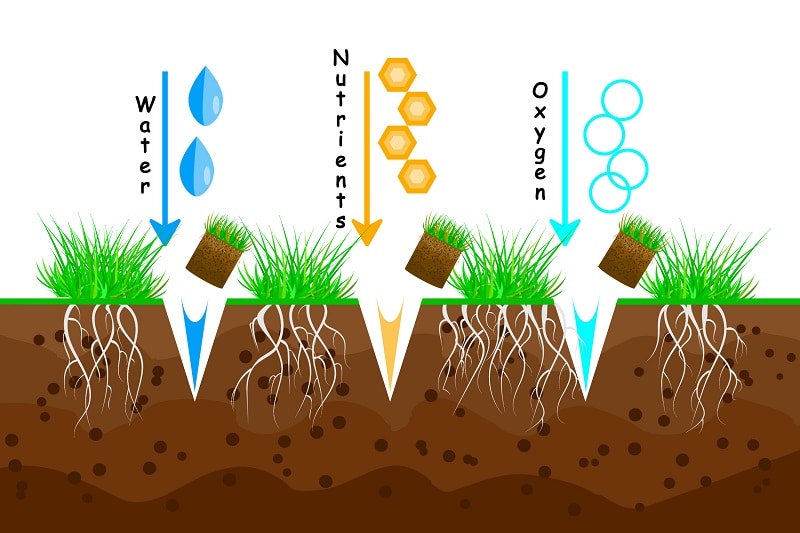 Liquid Fertilizer Nutrients For Soil Lawn Care