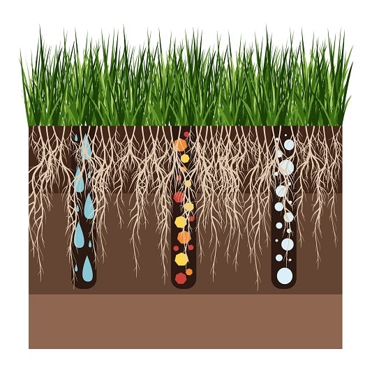 Organic Liquid Fertilizer Soil Absorption Nutrient Rich