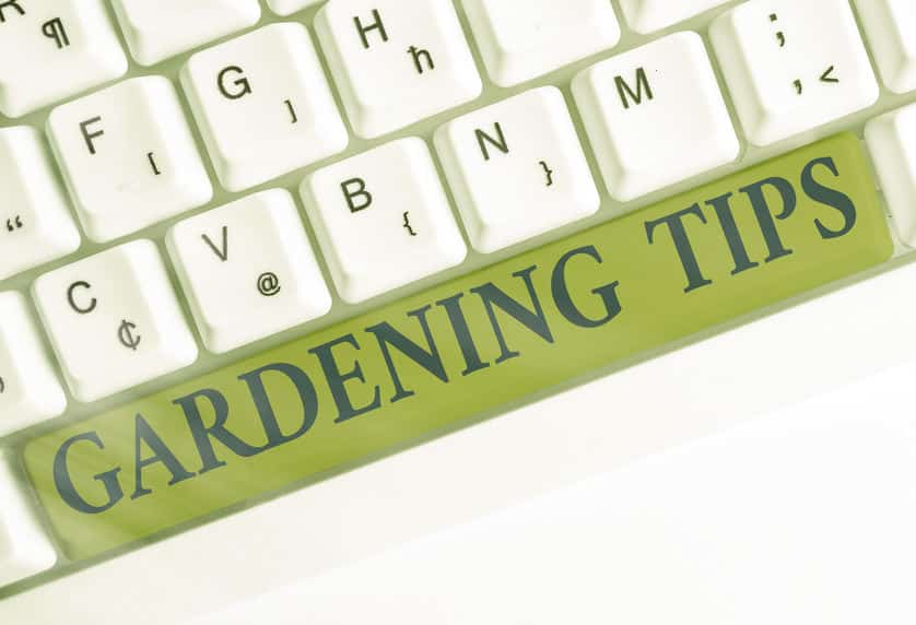 Gardening Tips Revive Organic Fertilizer