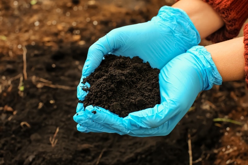 Soil Treatment Healthy Nutrient Rich